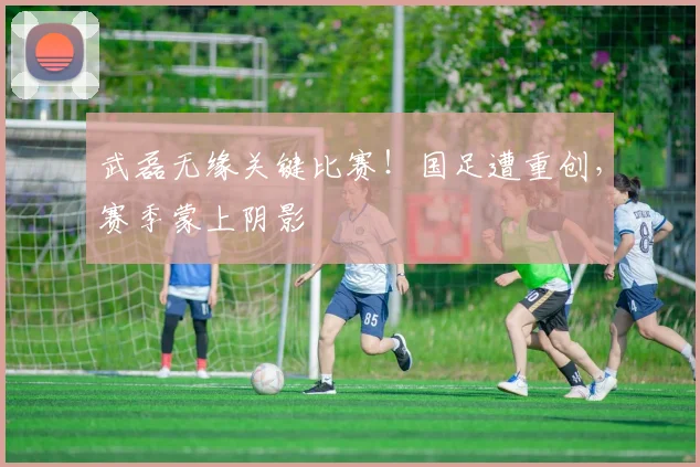 武磊无缘关键比赛！国足遭重创，赛季蒙上阴影