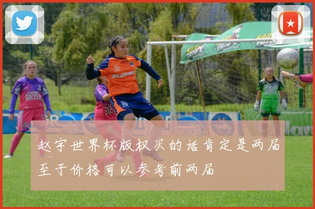 赵宇世界杯版权买的话肯定是两届至于价格可以参考前两届